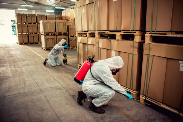 Wasp Removal Services in Williamston, SC