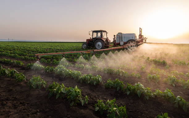 Best Pest Removal Services  in Williamston, SC