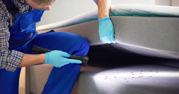 Best Local Pest Control Services  in Williamston, SC