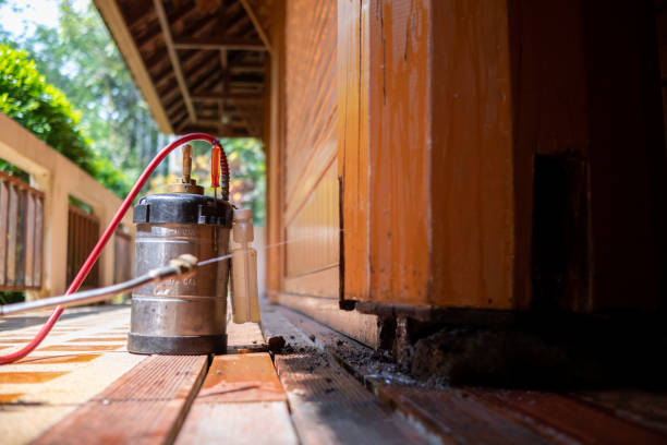 Best Affordable Pest Control Services  in Williamston, SC